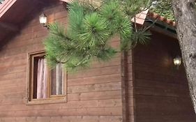 Iliria Tiny House Llogora