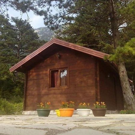 Iliria Tiny House Llogora Orikum Extérieur photo
