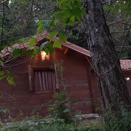 Iliria Tiny House Llogora Orikum Extérieur photo