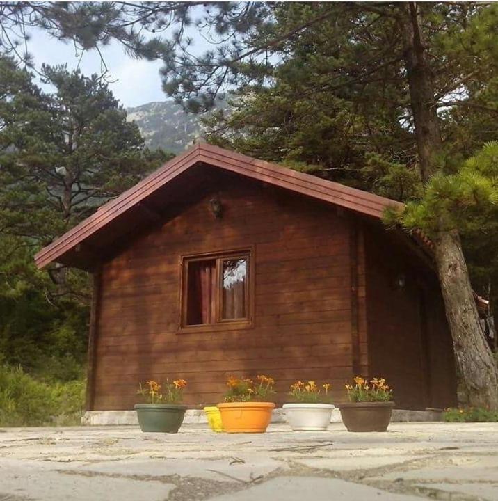 Iliria Tiny House Llogora Orikum Extérieur photo
