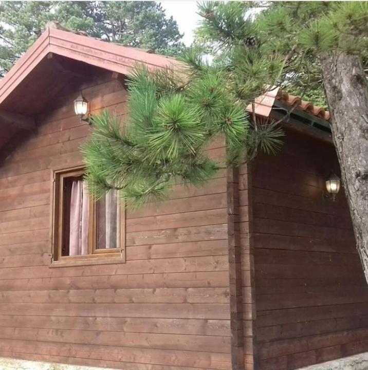 Iliria Tiny House Llogora Orikum Extérieur photo