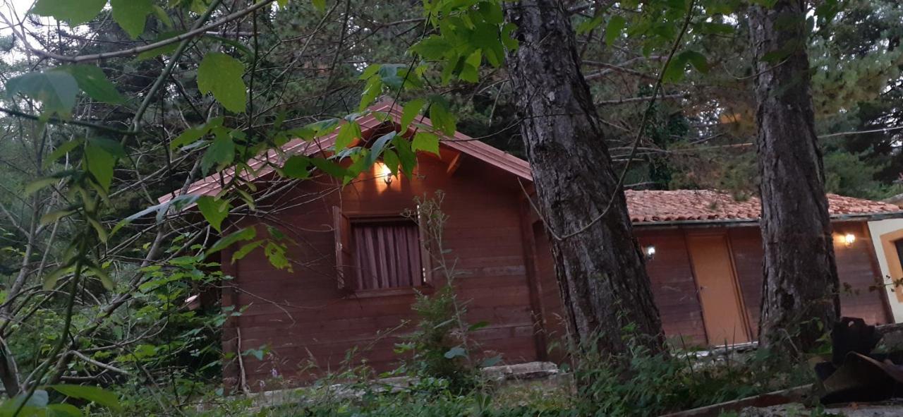 Iliria Tiny House Llogora Orikum Extérieur photo